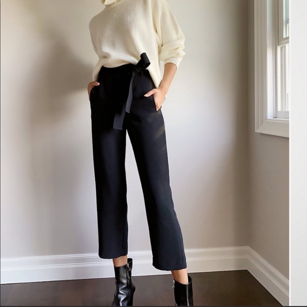 Aritzia Wilfred New Tie Front Pant